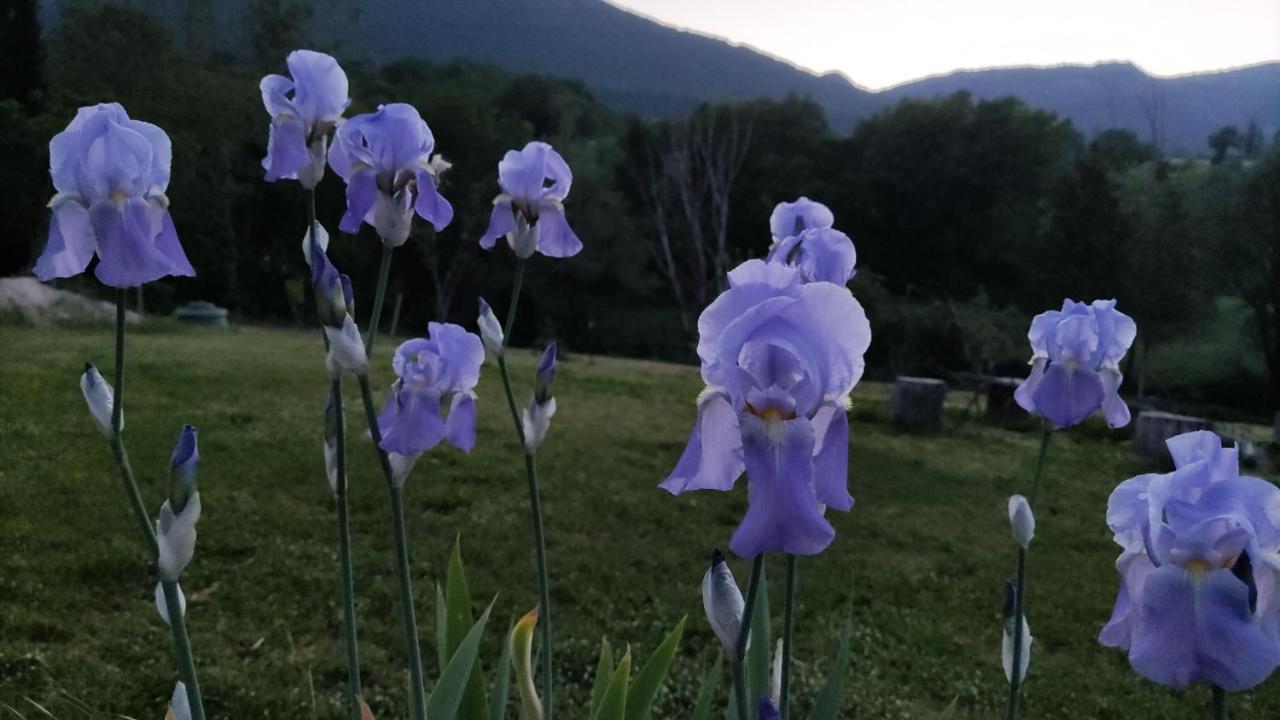 ホテル La Casa Di Elena カメリーノ エクステリア 写真